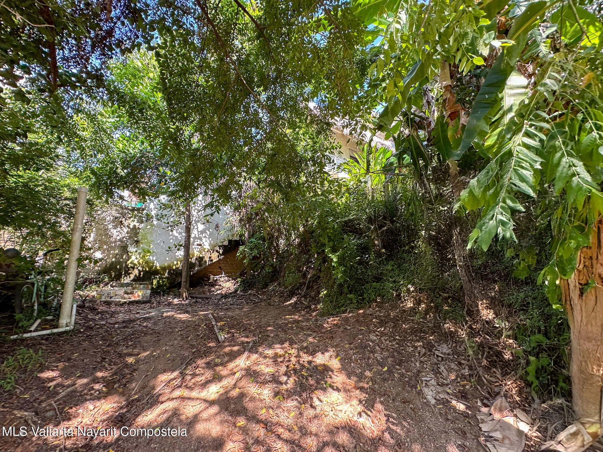 Lot Palmeritas Sayulita