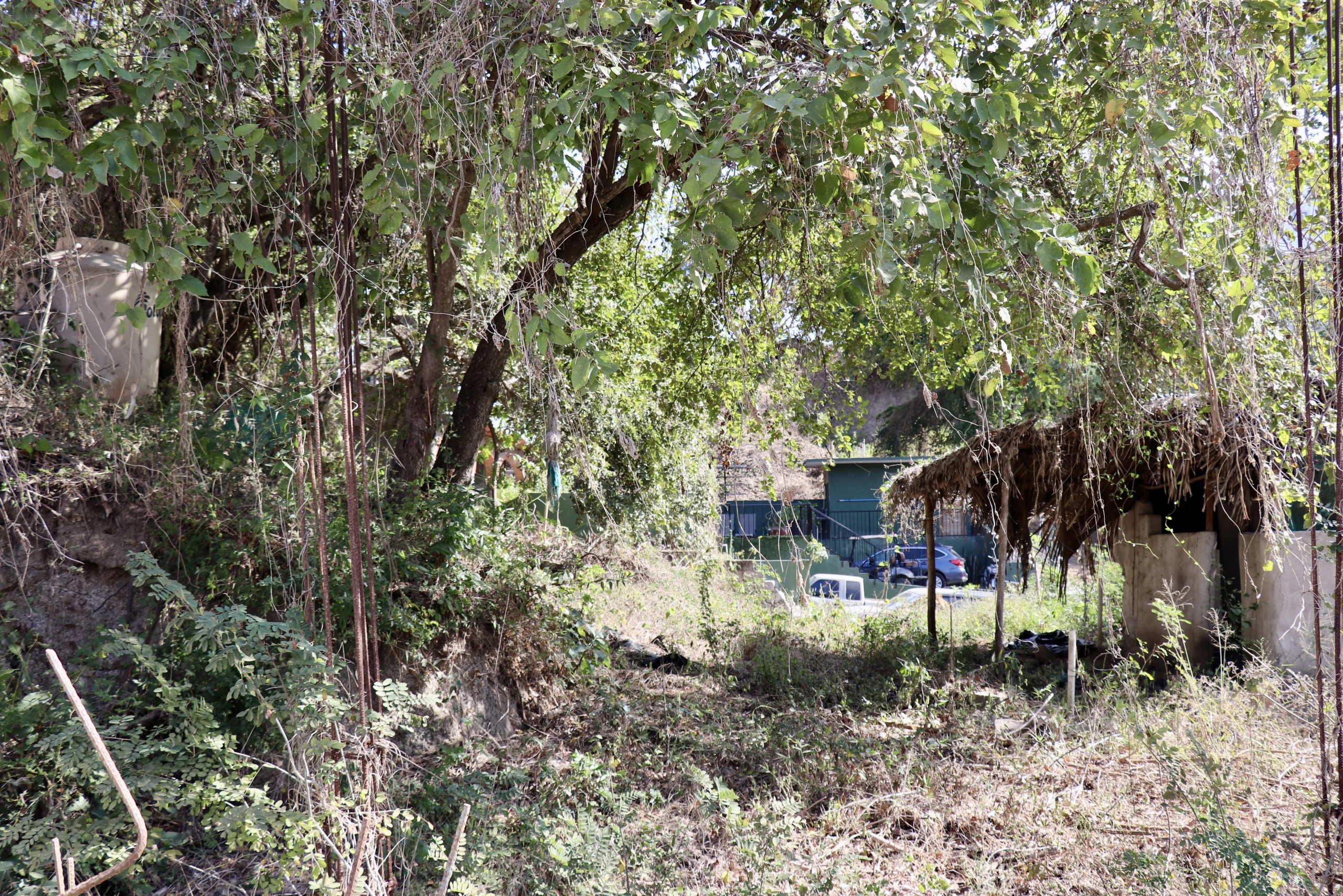 Investment property in Avestruces Sayulita with apartments and land.