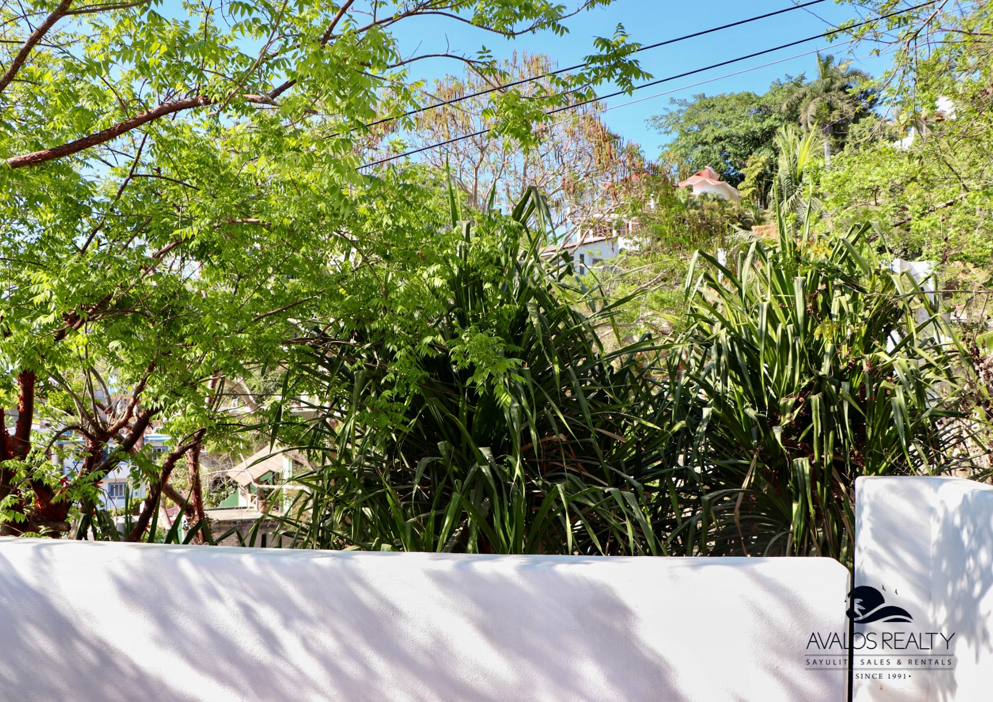 Sayulita Real Estate