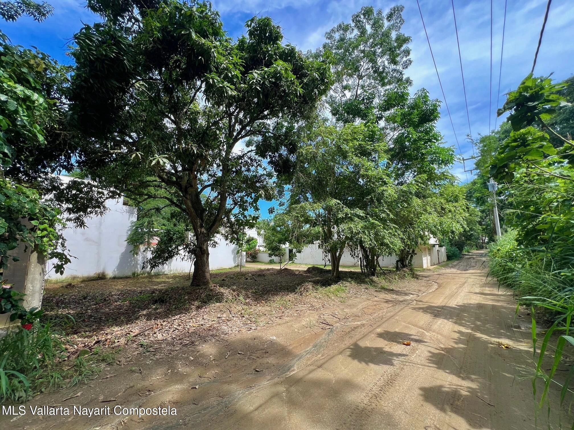LOTE-MANGO-VISTA-FRENTE