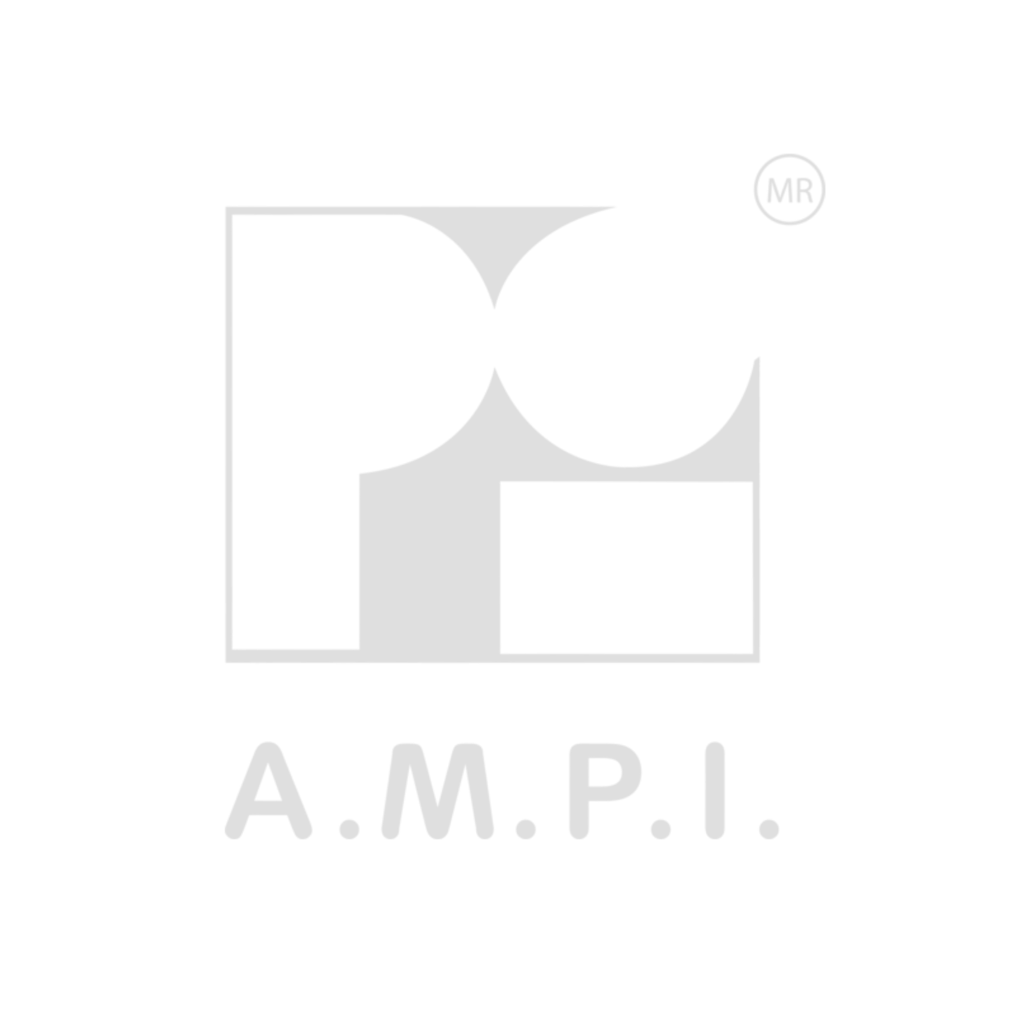 AMPI LOGO