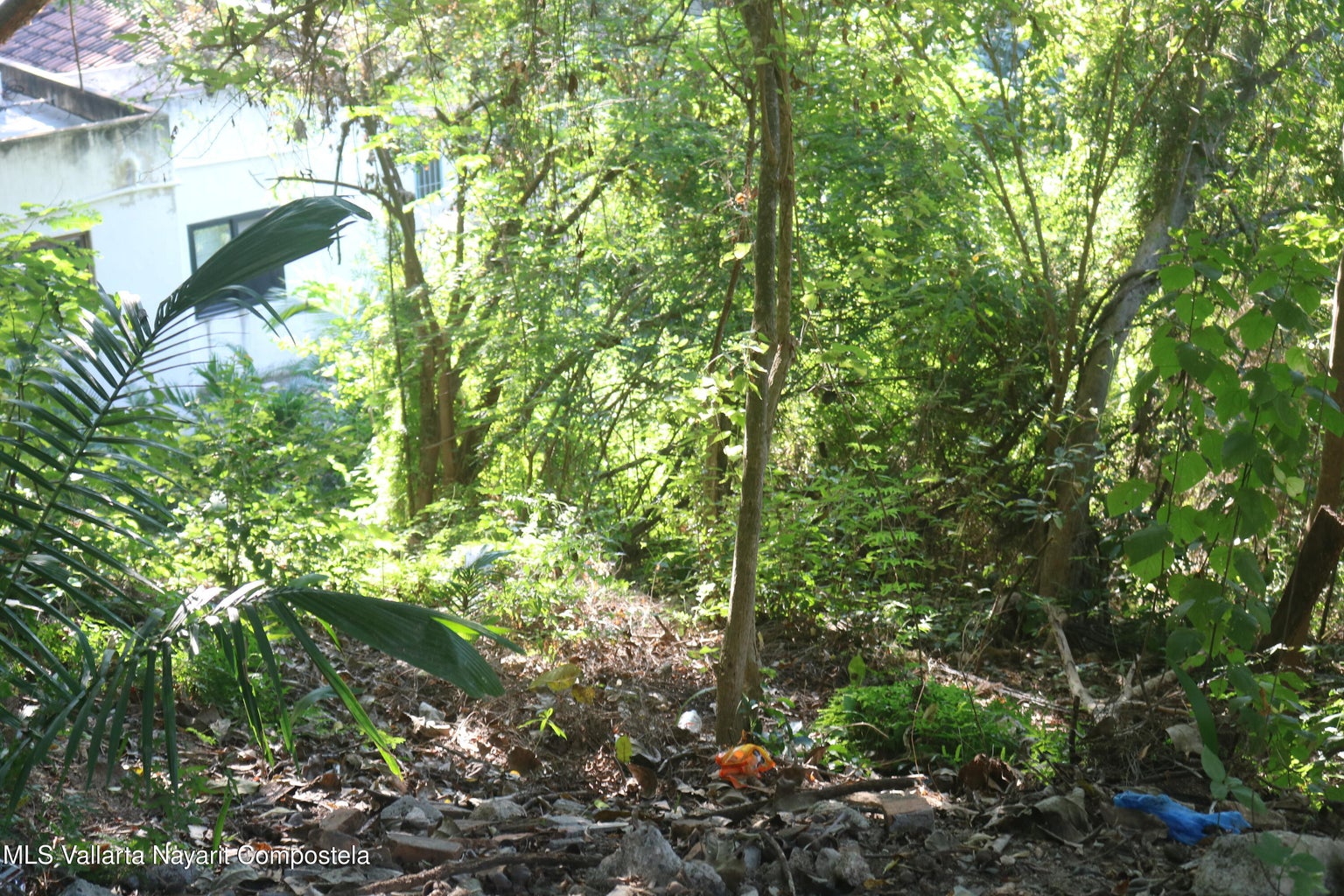Ocean view lot for sale in Sayulita Northside