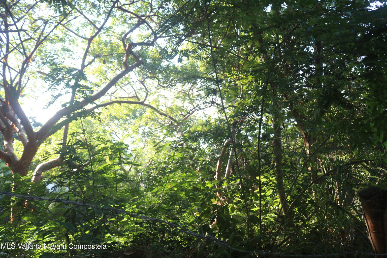 Ocean view lot for sale in Sayulita Northside