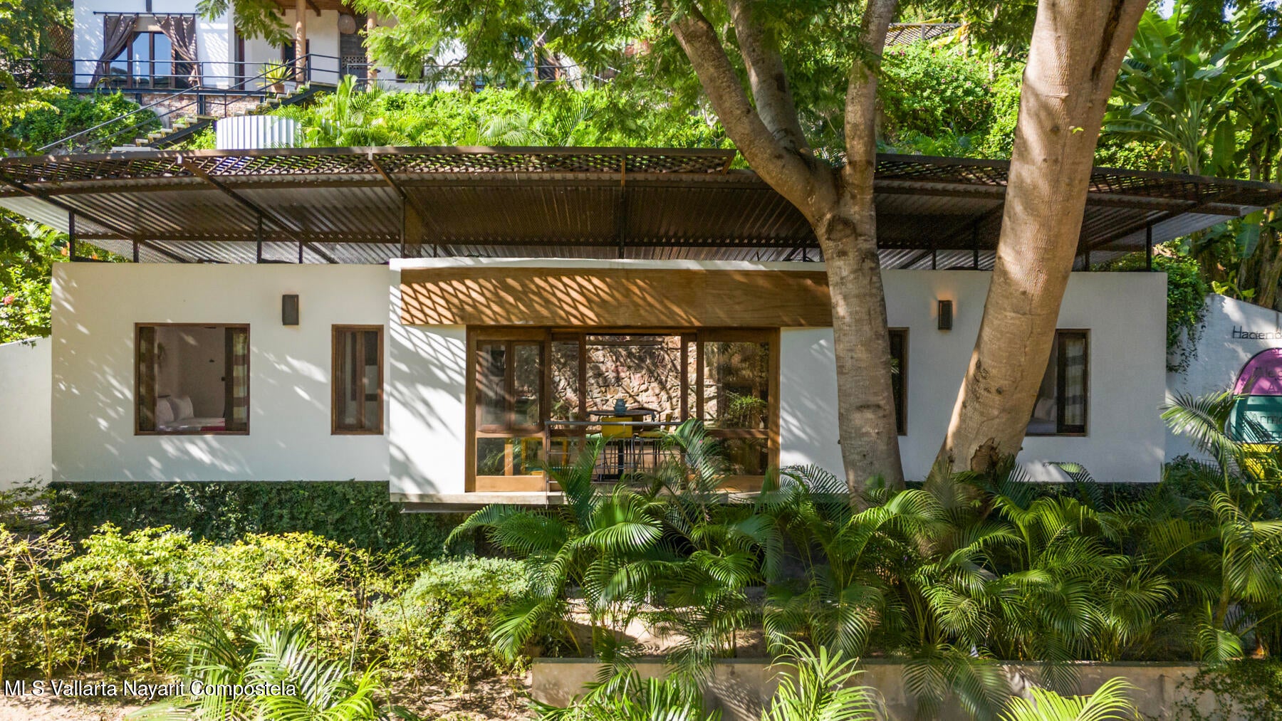 Modern jungle retreat in Sayulita surrounded by tropical parota trees