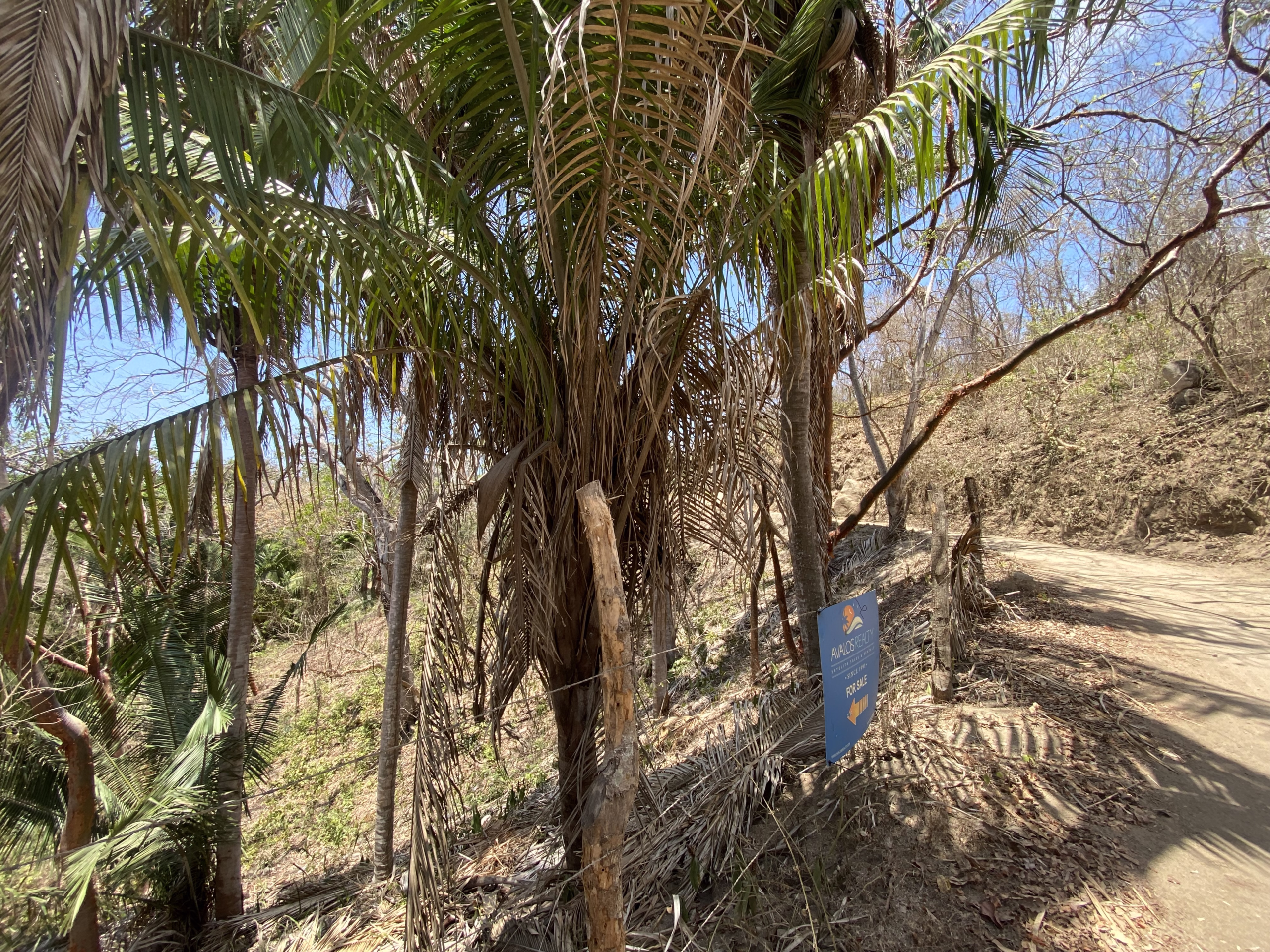 725 m² titled lot for sale near Patzcuarito Beach and Patzcuaro Beach in Sayulita, surrounded by tropical jungle with beach access and potential ocean views from a future home.