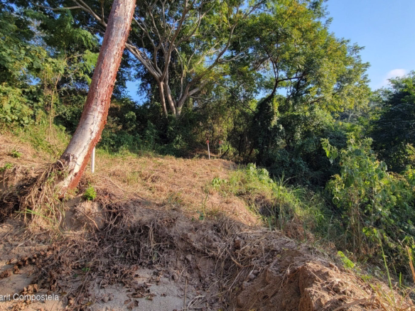 Land for sale in La Estropajera, Sayulita, featuring tropical jungle surroundings, protected green space, and a peaceful residential setting near Sayulita Beach