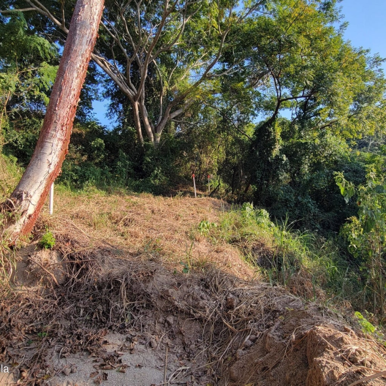 Land for sale in La Estropajera, Sayulita, featuring tropical jungle surroundings, protected green space, and a peaceful residential setting near Sayulita Beach