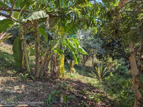 Residential lots for sale on Gringo Hill in Sayulita with utility infrastructure, private road access, and hillside building sites near downtown.