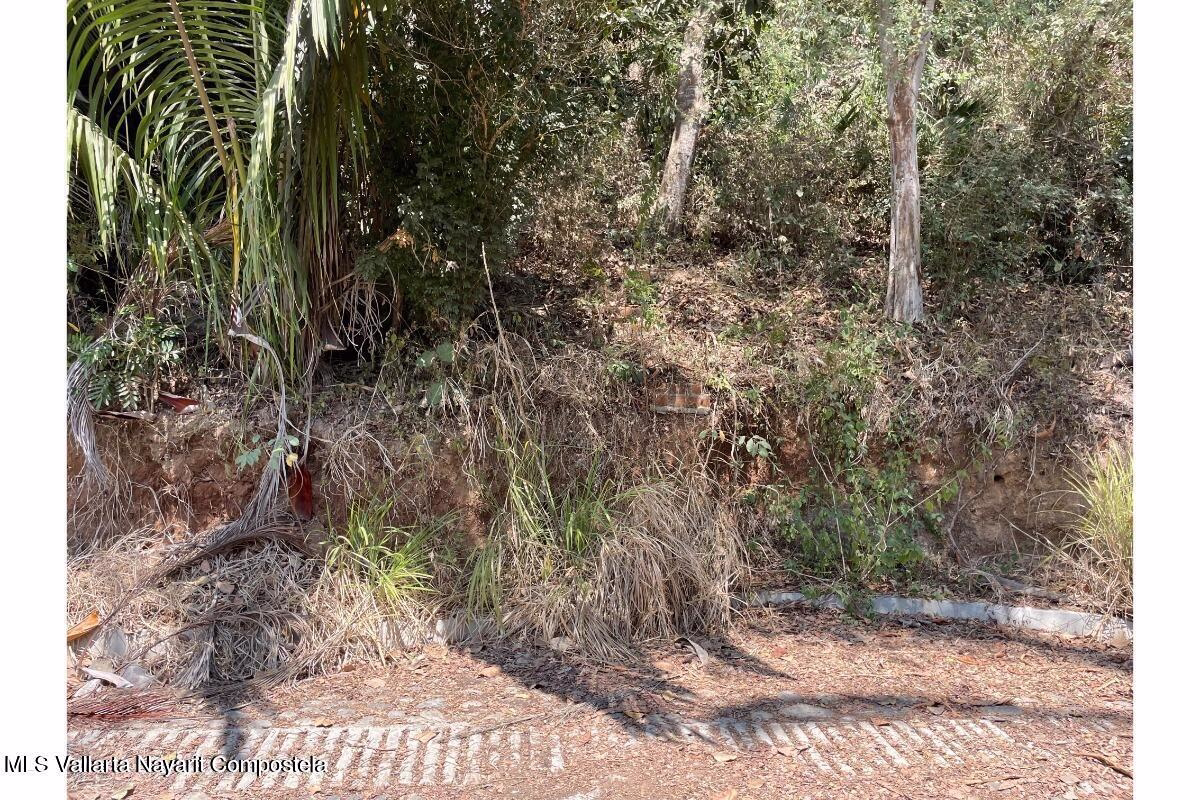 Residential lots for sale on Gringo Hill in Sayulita with utility infrastructure, private road access, and hillside building sites near downtown.