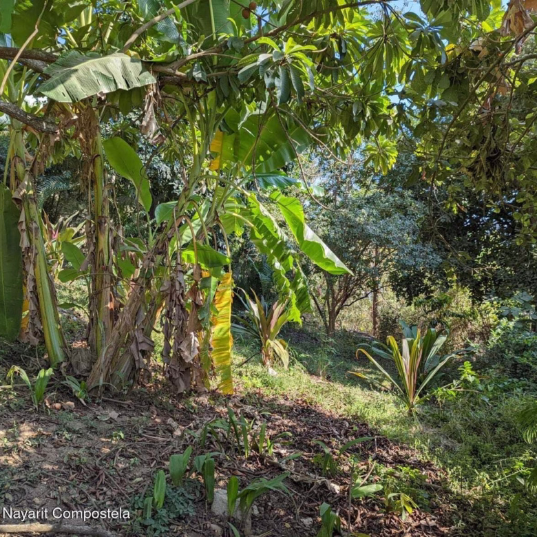 Residential lots for sale on Gringo Hill in Sayulita with utility infrastructure, private road access, and hillside building sites near downtown.