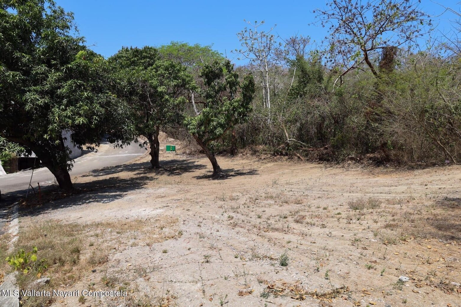 Selva Maaku in Sayulita, Nayarit, eco-residential development surrounded by tropical jungle, fruit trees, and natural landscapes.