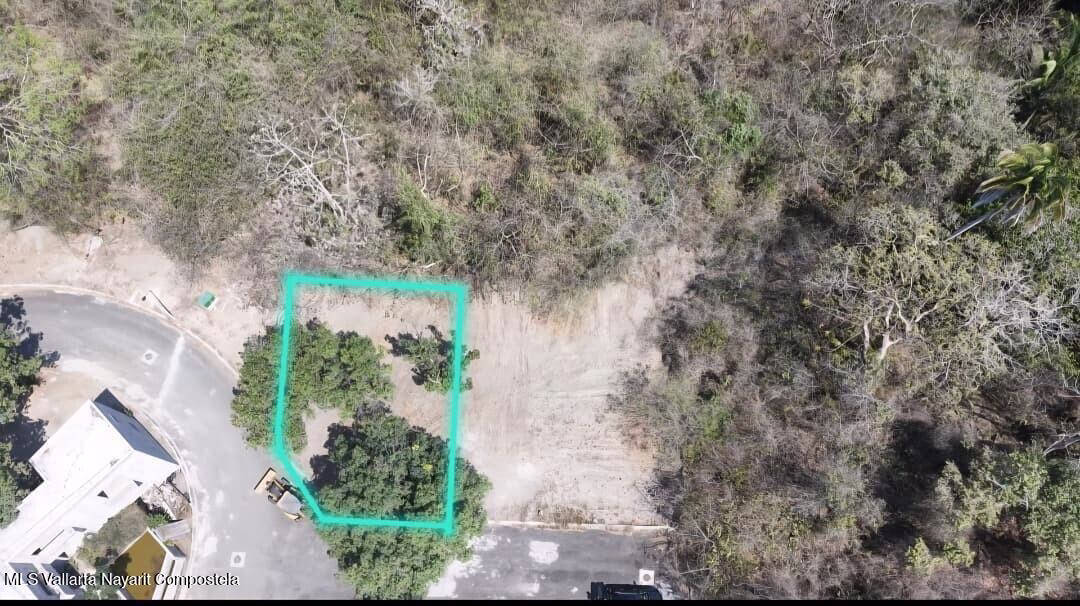 Selva Maaku in Sayulita, Nayarit, eco-residential development surrounded by tropical jungle, fruit trees, and natural landscapes.