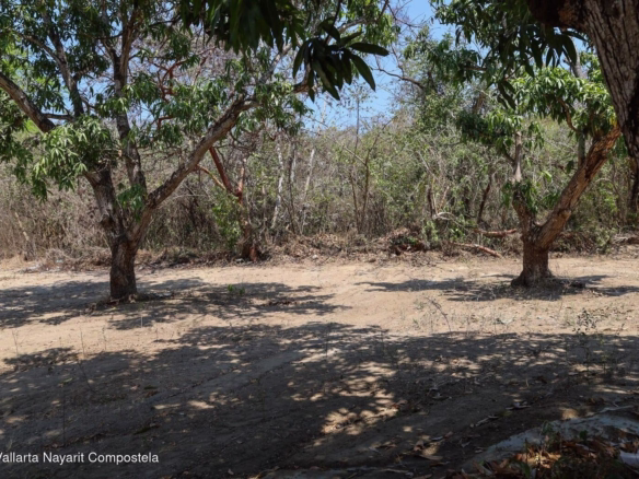 Selva Maaku in Sayulita, Nayarit, eco-residential development surrounded by tropical jungle, fruit trees, and natural landscapes.