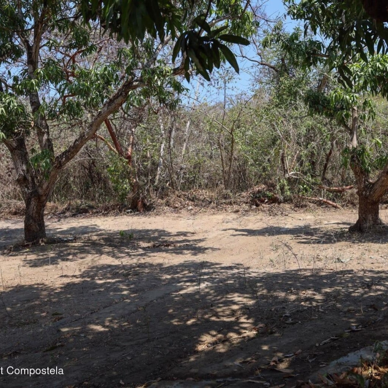 Selva Maaku in Sayulita, Nayarit, eco-residential development surrounded by tropical jungle, fruit trees, and natural landscapes.