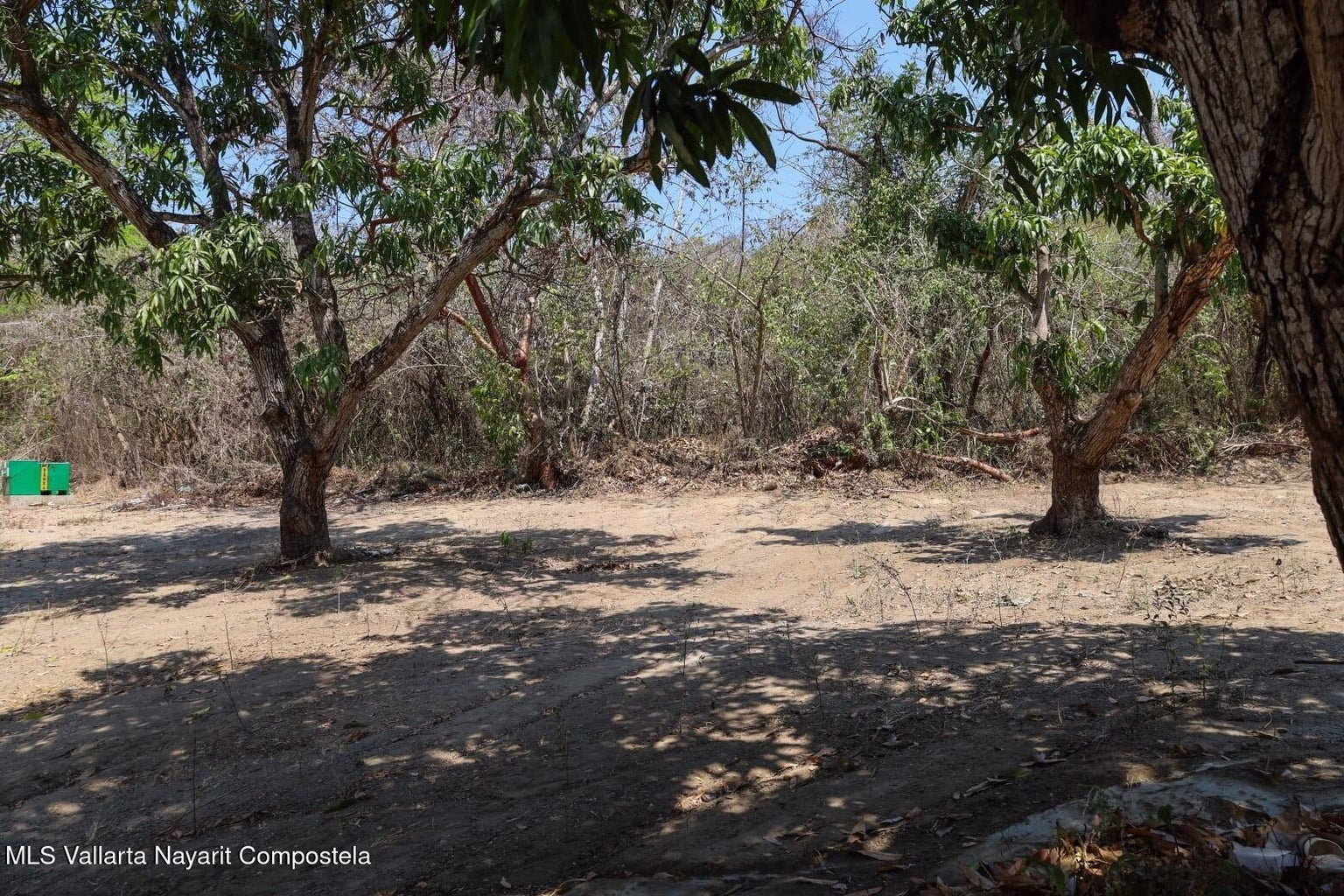 Selva Maaku in Sayulita, Nayarit, eco-residential development surrounded by tropical jungle, fruit trees, and natural landscapes.
