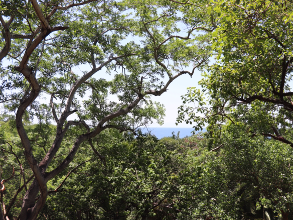 Land for sale in Patzcuarito, Sayulita, Nayarit, with ocean views, lush tropical surroundings, and access to a secluded rocky beach.