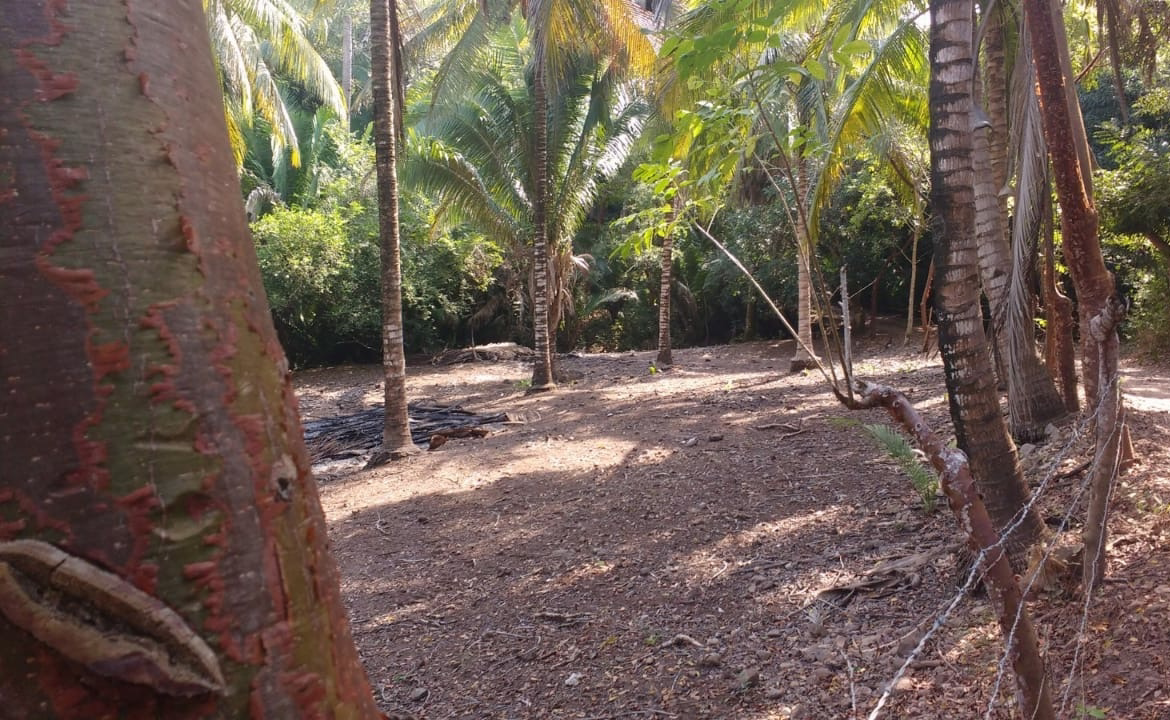 Lot for sale Lo de Marcos
