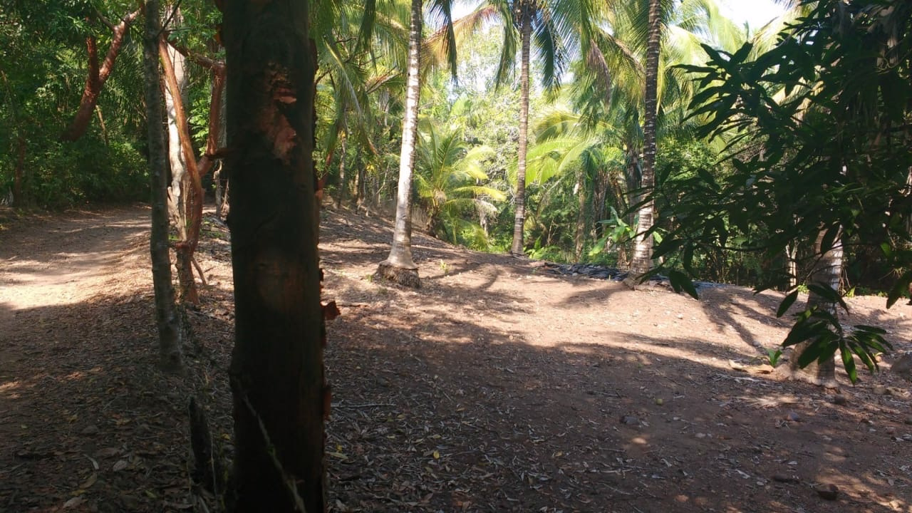 Lot for sale Lo de Marcos