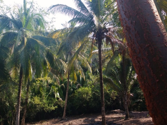 Lot for sale Lo de Marcos