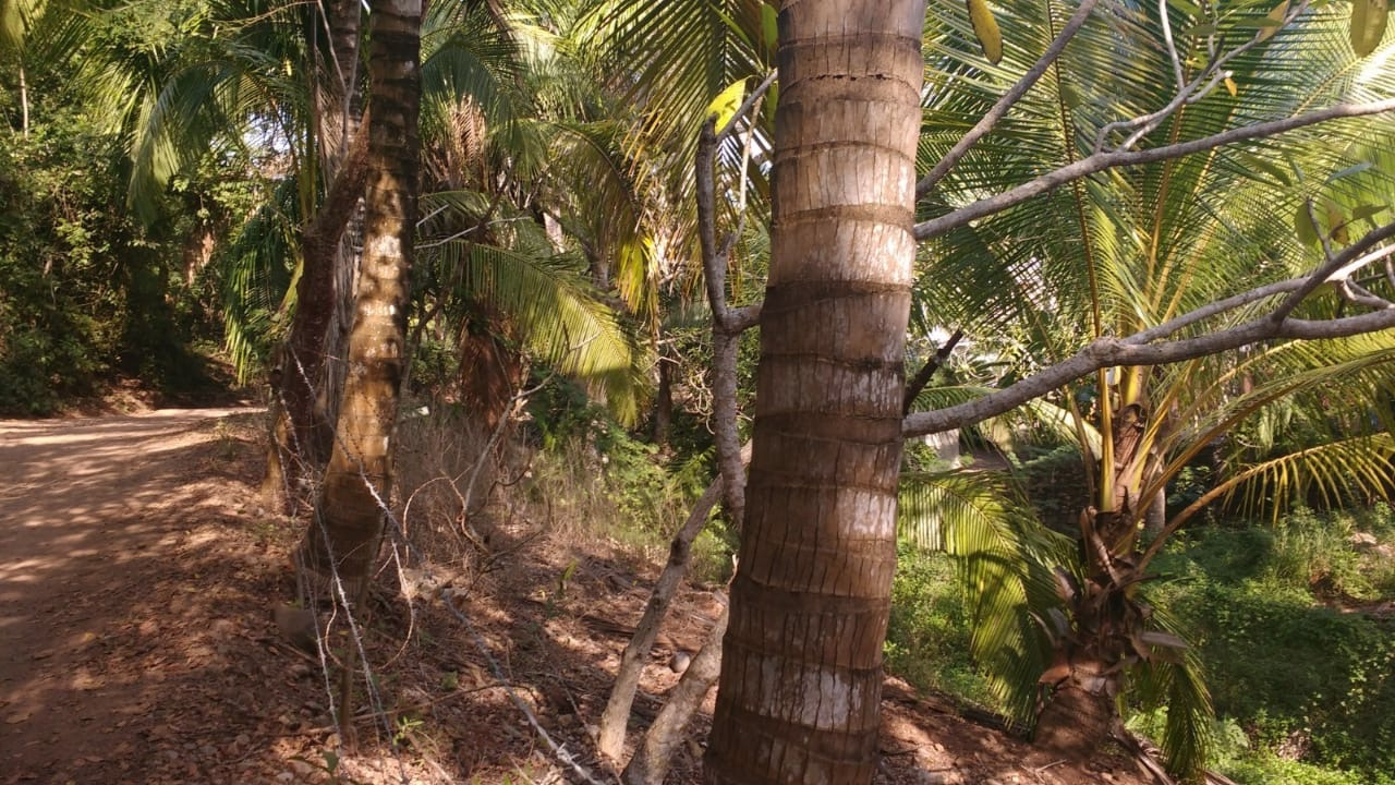 Lot for sale Lo de Marcos