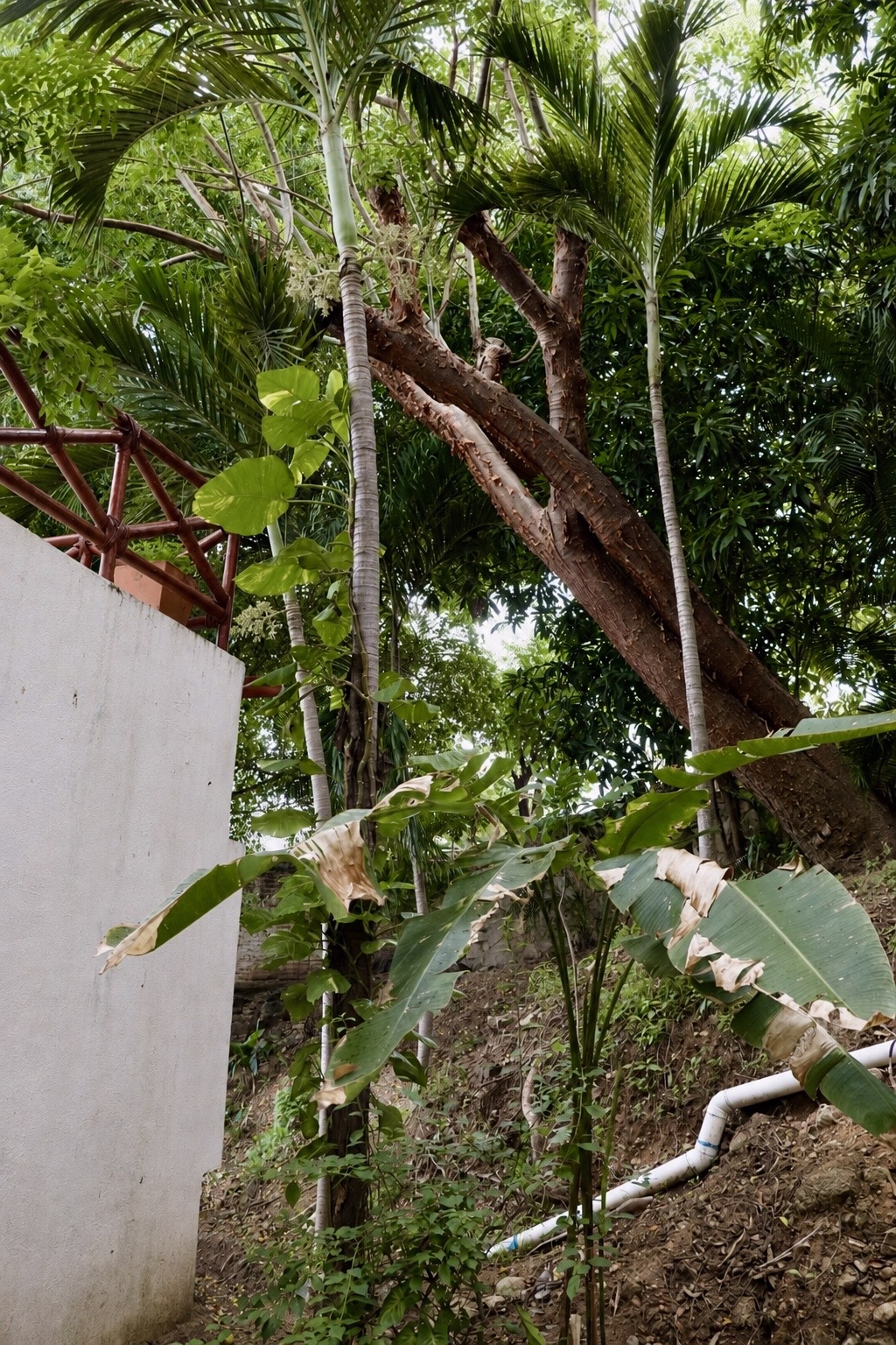 Condo for long-term or short-term rent in Sayulita, Nayarit